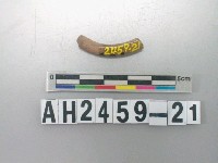 藏品(紅色陶環殘件)的圖片